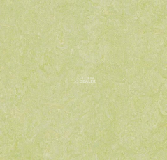 Forbo Marmoleum Marbled Real 3881 Green Wellness фото 1 | FLOORDEALER
